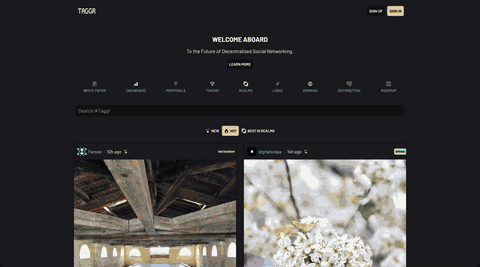 Taggr feed showing posts with reactions, comments, and realms